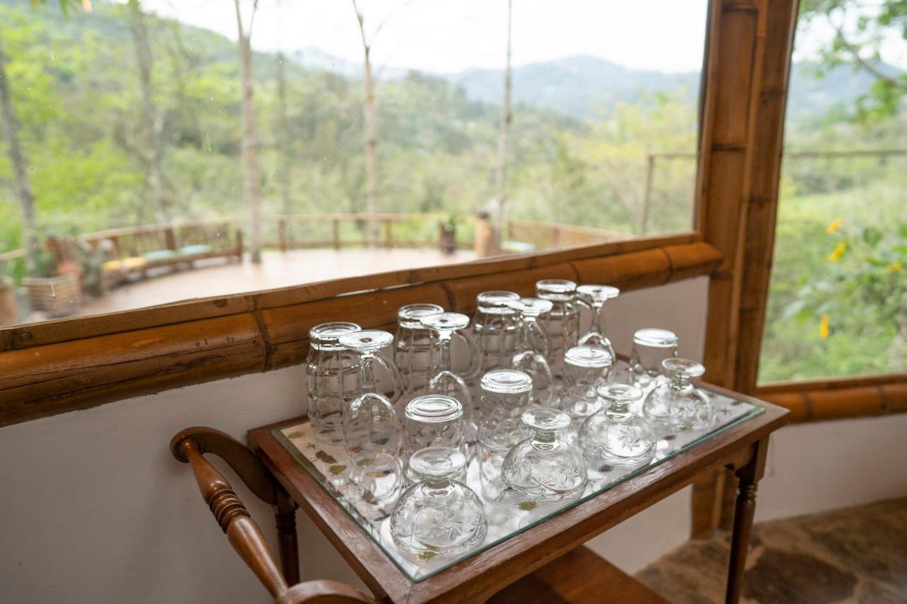 Chalets Huitaca 乔阿奇 外观 照片