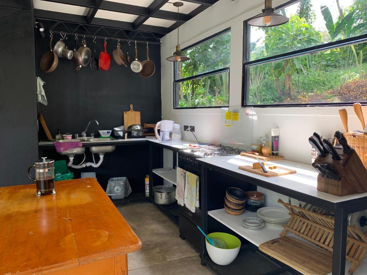 Chalets Huitaca 乔阿奇 外观 照片