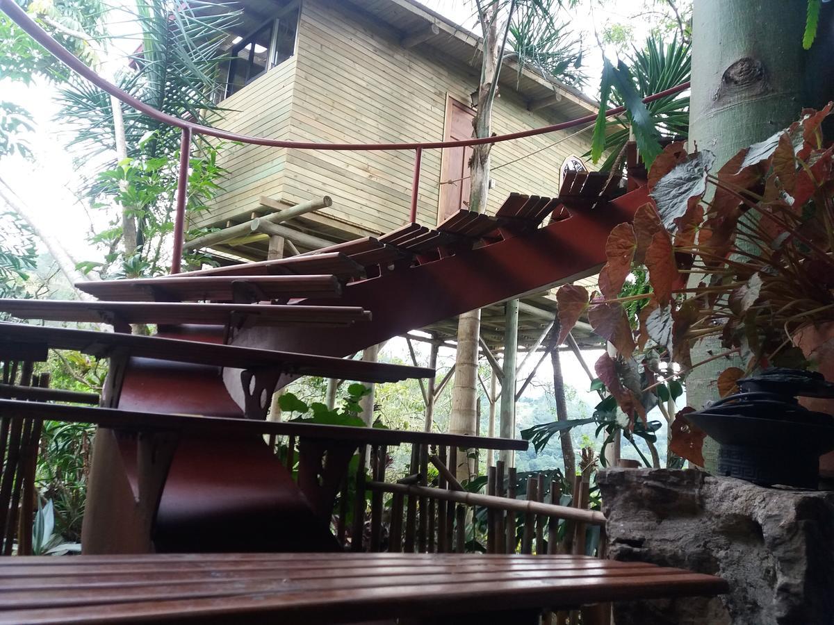 Chalets Huitaca 乔阿奇 外观 照片