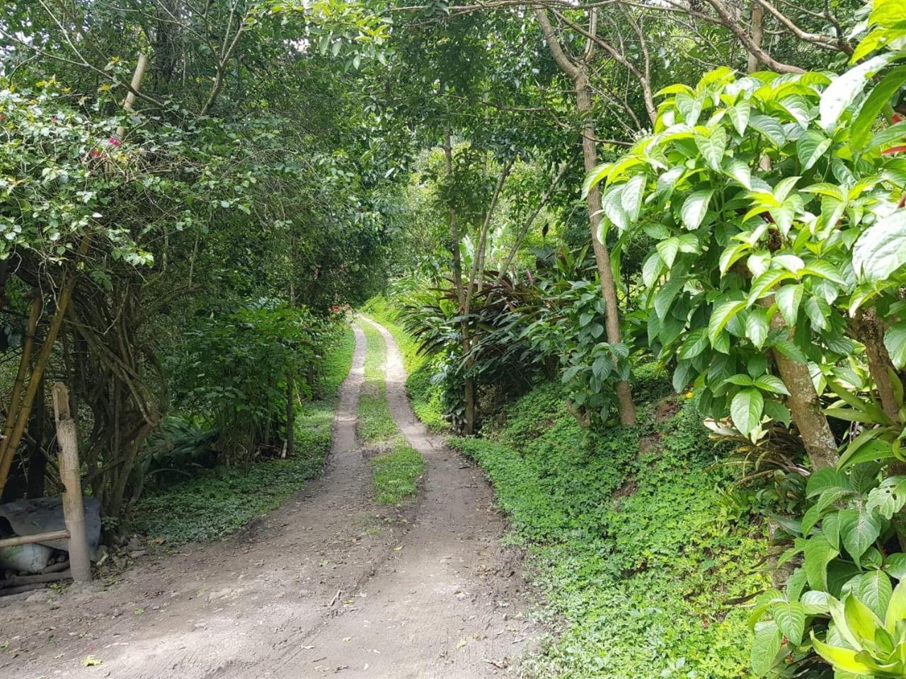 Chalets Huitaca 乔阿奇 外观 照片