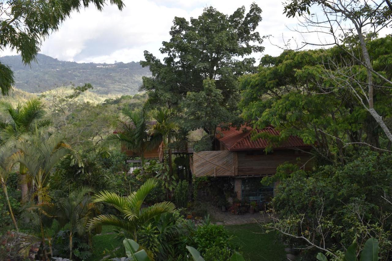 Chalets Huitaca 乔阿奇 外观 照片