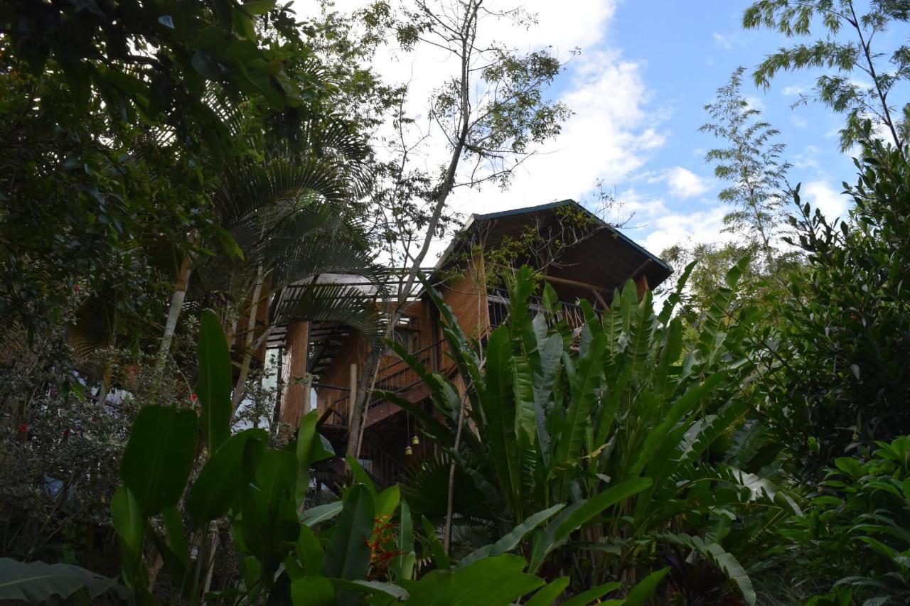 Chalets Huitaca 乔阿奇 外观 照片