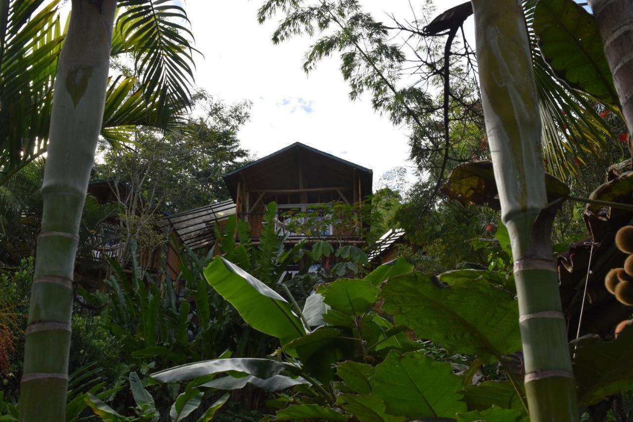Chalets Huitaca 乔阿奇 外观 照片